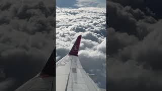 Airplane Wings Flying Moment Caught on Camera #shorts