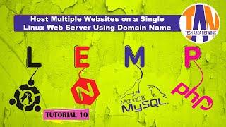 Host Multiple Websites By Domain Names On Single Server | NGINX | LEMP Stack | DNS [WEB SERVER 10]