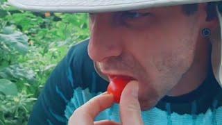 Funny Video Of Me Trying A Tomato! I HATE Tomatoes!