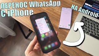 Как перенести WhatsApp с iPhone на Android