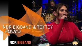 TOYTOY & NDR Bigband: "Always" | Salomea | NDR