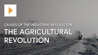 Causes Of The Industrial Revolution: The Agricultural Revolution