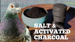 Salt (Himalayan, Sea Salt) & Charcoal - Are these two beneficial for our Racing Pigeons