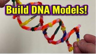 Build DNA Models in RamZland! #Stem #RamZland #DNA #ScienceForKids