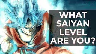 What Saiyan Level Are You? DRAGON BALL