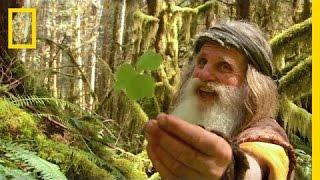 Meet Mick Dodge | The Legend of Mick Dodge