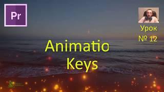 Как создать простую анимацию видео Premiere Pro. Ключи анимации. Непрозрачность  Курс Урок 12