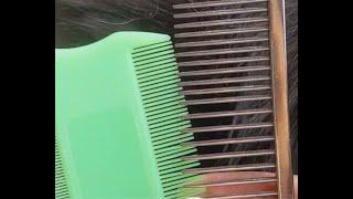 Combs For Your Pets -Long and Short Fur-