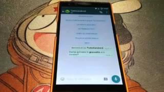 Come inserire grassetto e corsivo su whatsapp? Ecco la nostra guida