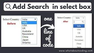 How to Add Search Bar in Select dropdown