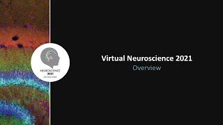 Virtual Neuroscience 2021 Overview