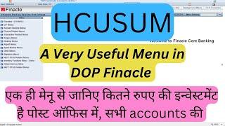 HCUSUM Menu in DOP Finacle