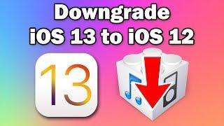 How to Downgrade iOS 13 Beta to iOS 12 on iPhone, iPod touch & iPad