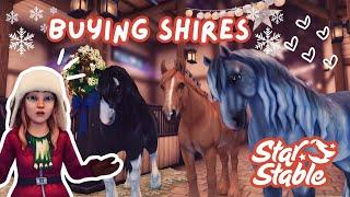 Buying Shires ️ || Star Stable Online Video 🩷