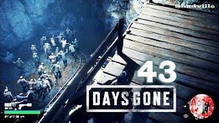 Орда в скале ▬ Days Gone. Жизнь после Прохождение #43