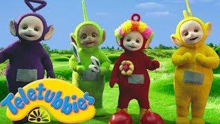 Teletubbies English Episodes Circus  Full Episode - NEW Season 16 HD (S16E116)