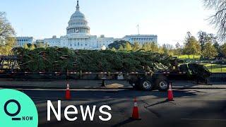 2020 Capitol Christmas Tree Arrives in Washington, D.C. from Colorado