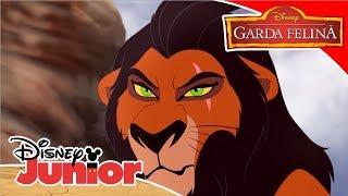  Când am devenit Scar | Garda Felină | Disney Junior România