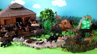 Fun Animal Care Center Diorama for Safari Animal Figurines