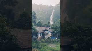 barish Ka annasa, natural beauty  #love #subscribe #malaysia #share #hello2024 #rain