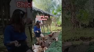 Feeding My chicken | Miss Shirley