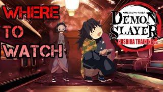 HOW TO WATCH Demon Slayer Season 4 Hashira Training Arc