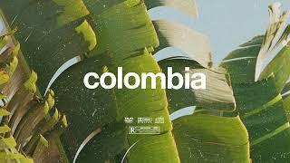 (FREE) | "Colombia" | Burna Boy x Rema x Omah Lay Type Beat | Free Beat | Afrobeat Instrumental 2024