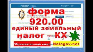 Заполнение декларации для КХ форма 920.00. Онлайн ККМ обязателен.