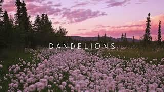 Ruth B. - Dandelions [ TikTok remix ]