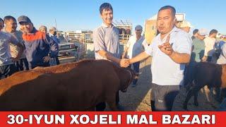 30-ИЮНЬ/ХОЖЕЛИ МАЛ БАЗАРЫ/СКОТНЫЙ РЫНОК/BUQALAR/BIG BULLS IN THE WORLD/BIG COW