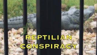 Reptilian Conspiracy