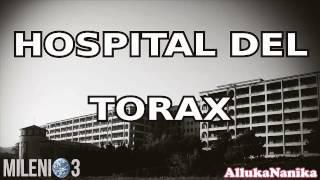 Milenio 3 -  El Hospital del Torax de Terrasa