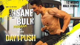 INSANE BULK "DAY 1- PUSH"- 12 weeks Muscle Building Program [FREE] Designed By Jeet Selal