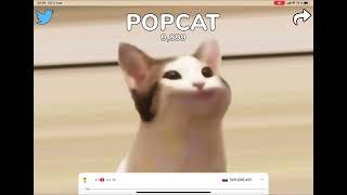 Pop cat 10000 clicks!!! #memes