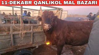 11-ДЕКАБРЬ/КАНЛЫКОЛ МАЛ БАЗАРЫ/СКОТНЫЙ РЫНОК/BUQALAR/BIG BULLS IN THE WORLD/BIG COW