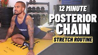 Stretches For The Posterior Chain (Follow Along Routine)