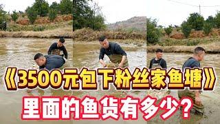 花3500元包下壹個魚塘，看看裏面到底有多少魚？#户外 #大魚 #漁民