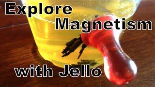 Explore Magnetism with Jello
