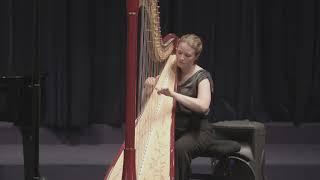 "Blackbird" by Uno Alexander Vesje // Stien De Neef, Harpist