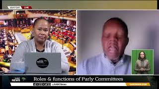 7th Administration | Roles and functions of parliament's committees: Prof Siphamandla Zondi