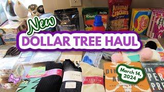 New DOLLAR TREE HAUL!  Cool Finds!  March 14, 2024  #dollartree #dollartreehaul #leighshome