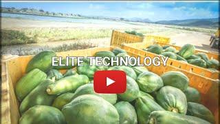 Amazing Agriculture Technology, Modern Papaya Processing Plant, HowTo Produce Mango Juice