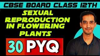 Sexual Reproduction in Flowering Plants | 30 PYQ | Class 12 |CBSE|Sourabh Raina