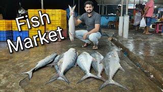 वसई पाचूबंदरचा मासळी बाजार | Pachu bandar Vasai Fish Market