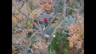 Huge Sugar Maple Removal - No Crane Access!