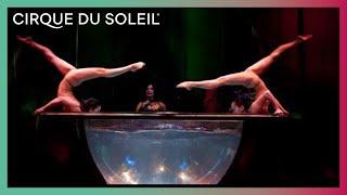 Zumanity by Cirque du Soleil - Waterbowl Act | Cirque du Soleil