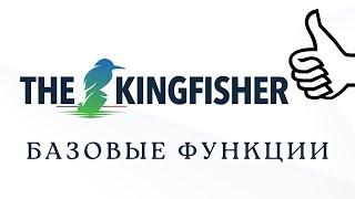 KingFisher! Площадка для анализа Криптовалют!! Обзор сервиса Кингфишер