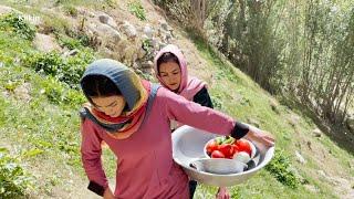 Afghanistan's remote villages, work and daily life there