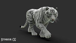 White Tiger 3D model 360 Turntable | CG Creature artist #stynsour