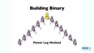 Understanding Binary Compensation Plans